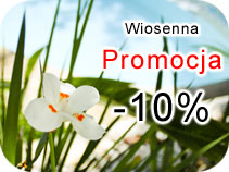 Promocja wiosenna - wypoyczalnia samochodw DST Rent Car Warszawa