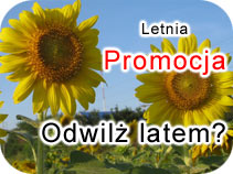 Promocja letnia - wypoyczalnia samochodw DST Rent Car Warszawa