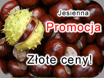 Promocja jesienna - wypoyczalnia samochodw DST Rent Car Warszawa