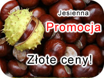 Promocja jesienna - wypoyczalnia samochodw DST Rent Car Warszawa